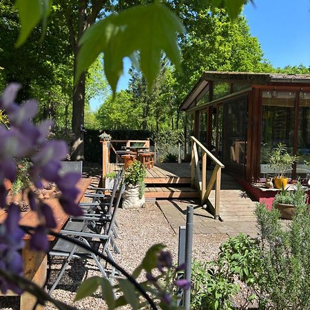 Chalet De Kleine Eekhoorn Lage Mierde Ngoại thất bức ảnh